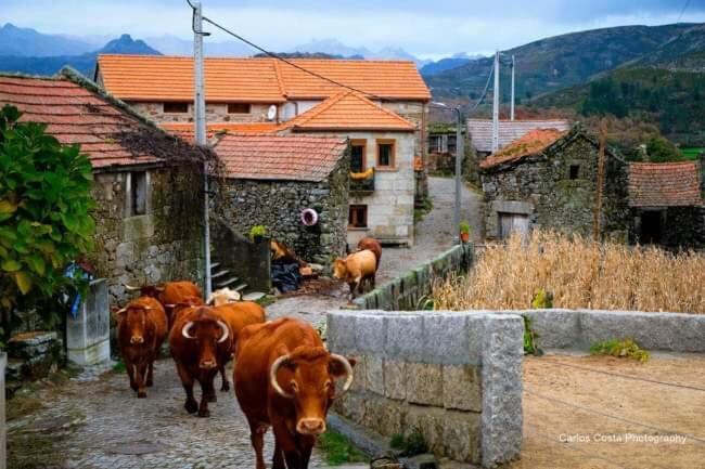 Casa Albelo Do Geres Villa Montalegre Exterior photo